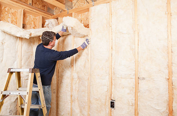 Best Eco-Friendly Insulation Solutions  in Willows, CA