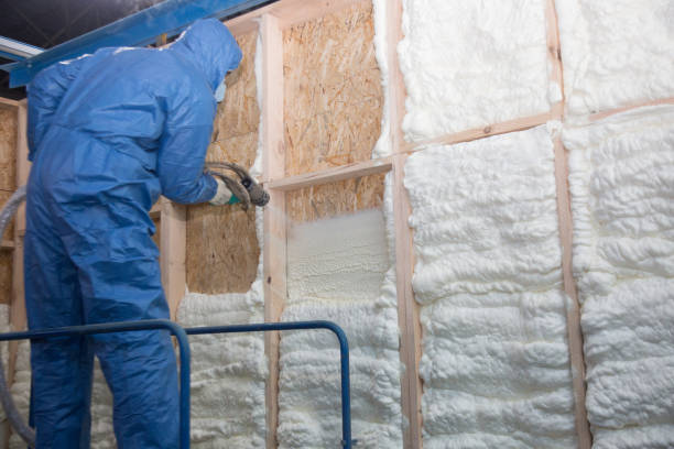 Types of Insulation We Offer in Willows, CA